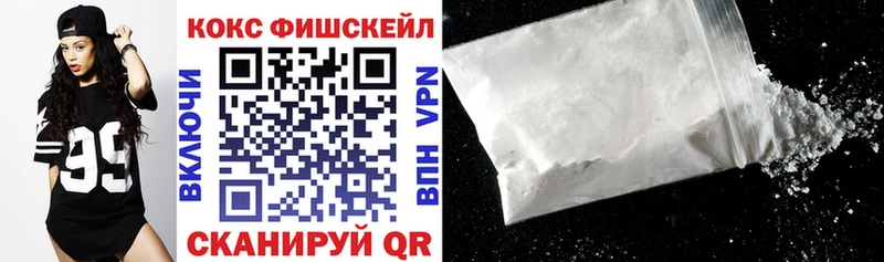 мега как войти  Богородск  COCAIN Fish Scale  где продают  