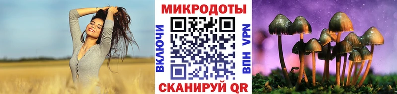 Галлюциногенные грибы Psilocybe  Богородск 
